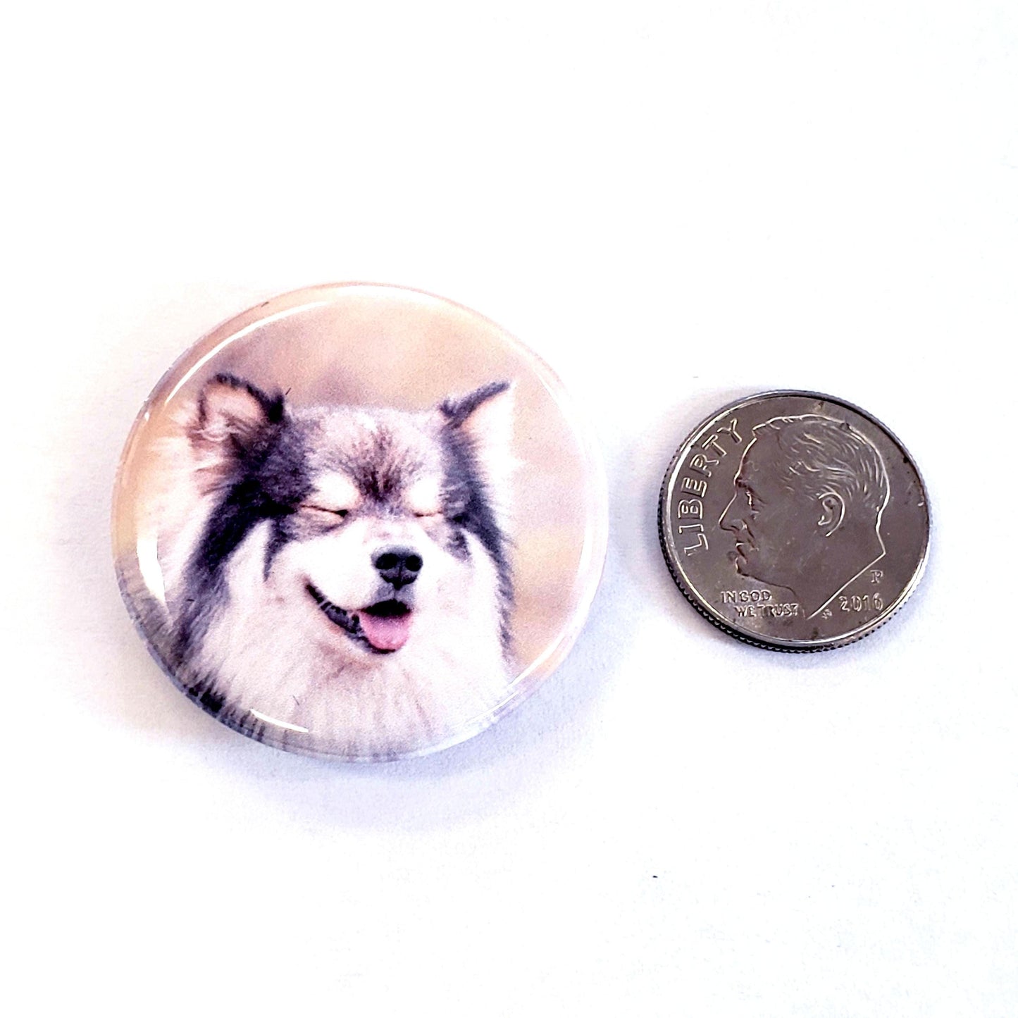 Custom Dog Photo Magnets, set of 5, full color 1.25" round magnets in black metal gift tin, gift for dog lover.