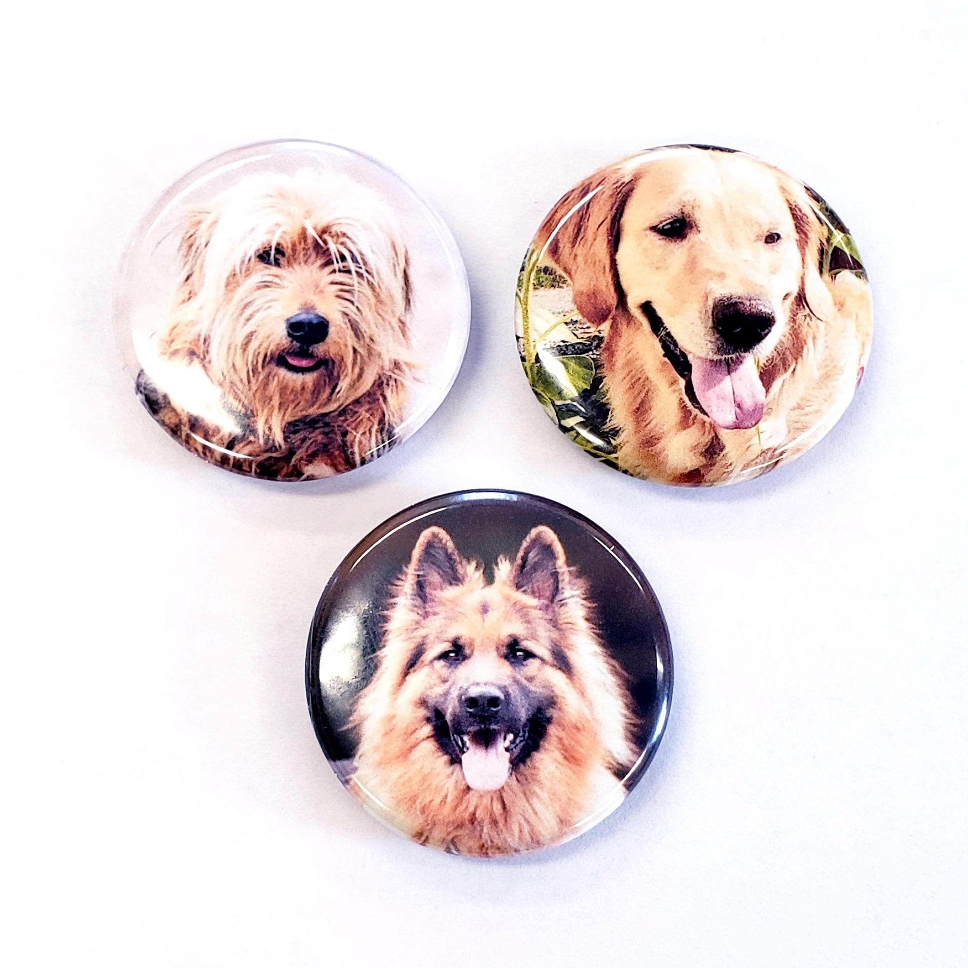 Custom Dog Photo Magnets, set of 5, full color 1.25" round magnets in black metal gift tin, gift for dog lover.